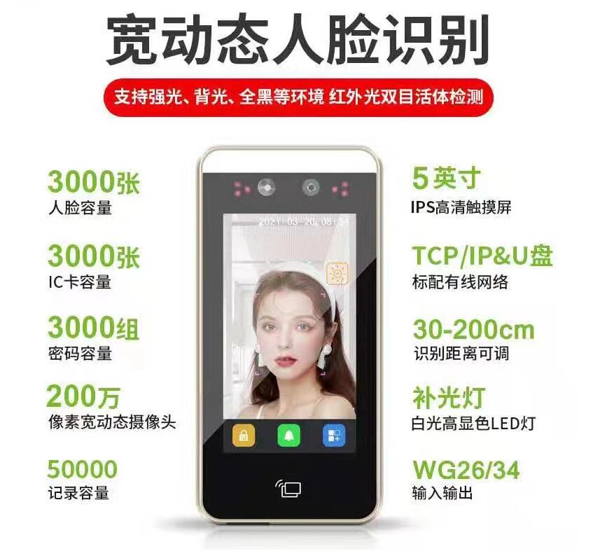 5Ӣ������ʶ���Ž���